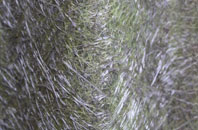 Spratton fibreglass roof work